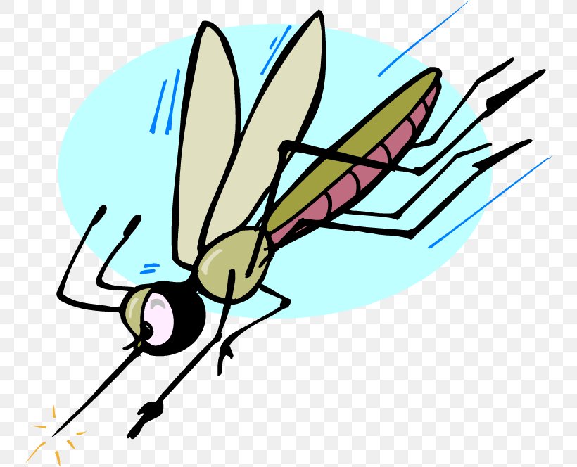 The Mosquito Insect Repellent Clip Art, PNG, 750x664px, Mosquito, Area, Art, Artwork, Fly Download Free