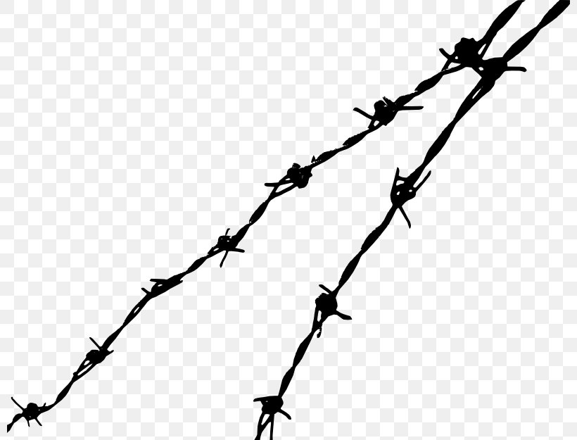 Barbed Wire Barbed Tape Clip Art, PNG, 800x625px, Barbed Wire, Barbed Tape, Black And White, Branch, Drawing Download Free
