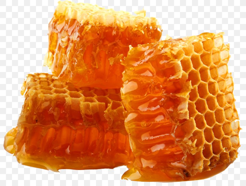 Honey Bee Beeswax Honeycomb, PNG, 800x620px, Honey, Bee, Beeswax, Coconut Oil, Dish Download Free