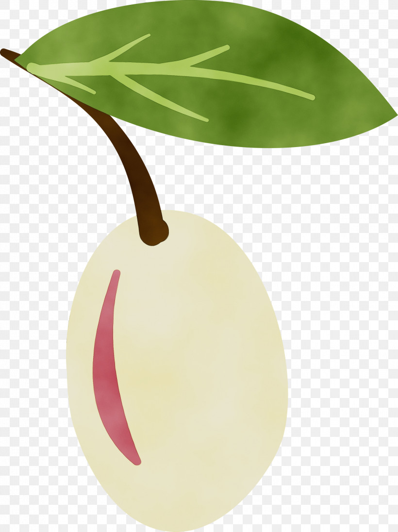 Leaf Fruit Science Plants Biology, PNG, 2242x2999px, Watercolor, Biology, Fruit, Leaf, Paint Download Free