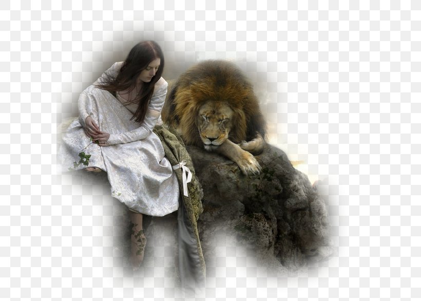 Lion Of Judah Bride Of Christ Tribe Of Judah, PNG, 600x586px, Lion, Book Of Revelation, Bride, Bride Of Christ, Cat Like Mammal Download Free