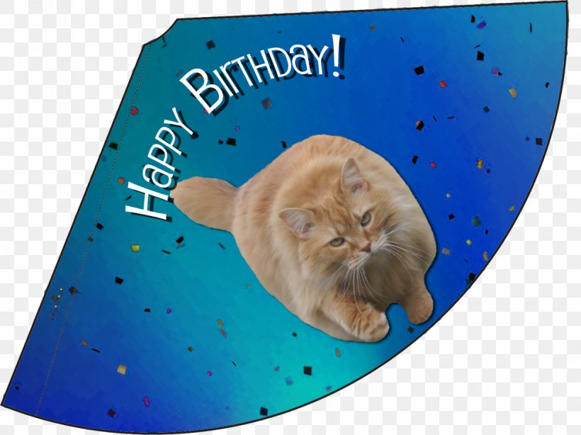 Whiskers Confetti Kitten Birthday Party, PNG, 992x743px, Whiskers, Balloon, Birthday, Candle, Carnivoran Download Free
