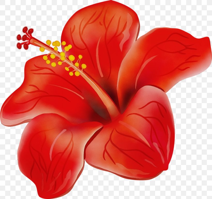 Floral Design, PNG, 1024x965px, Watercolor, Anthurium, Decoupage, Drawing, Floral Design Download Free