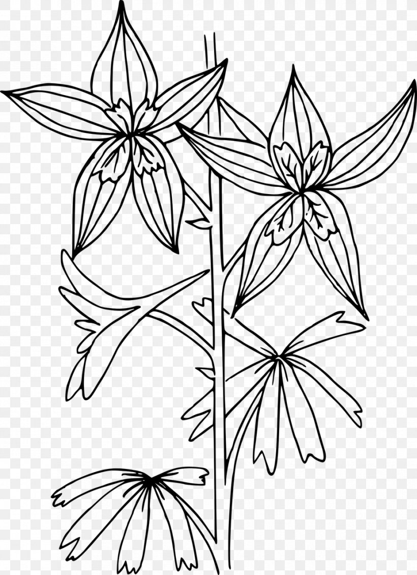 Nuttall's Larkspur Clip Art, PNG, 929x1280px, Flower, Area, Black And White, Branch, Coloring Book Download Free
