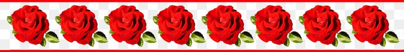 Rose Pink Flowers Clip Art, PNG, 2733x354px, Rose, Close Up, Digital Scrapbooking, Flower, Petal Download Free