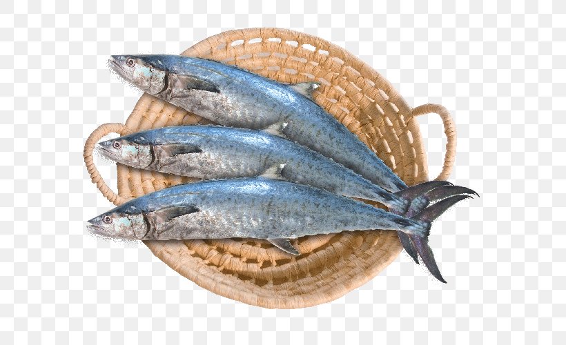 Saudi Arabia Narrow-barred Spanish Mackerel Fish SFC Food, PNG, 600x500px, Saudi Arabia, Anchovy, Animal Source Foods, Bony Fish, Capelin Download Free