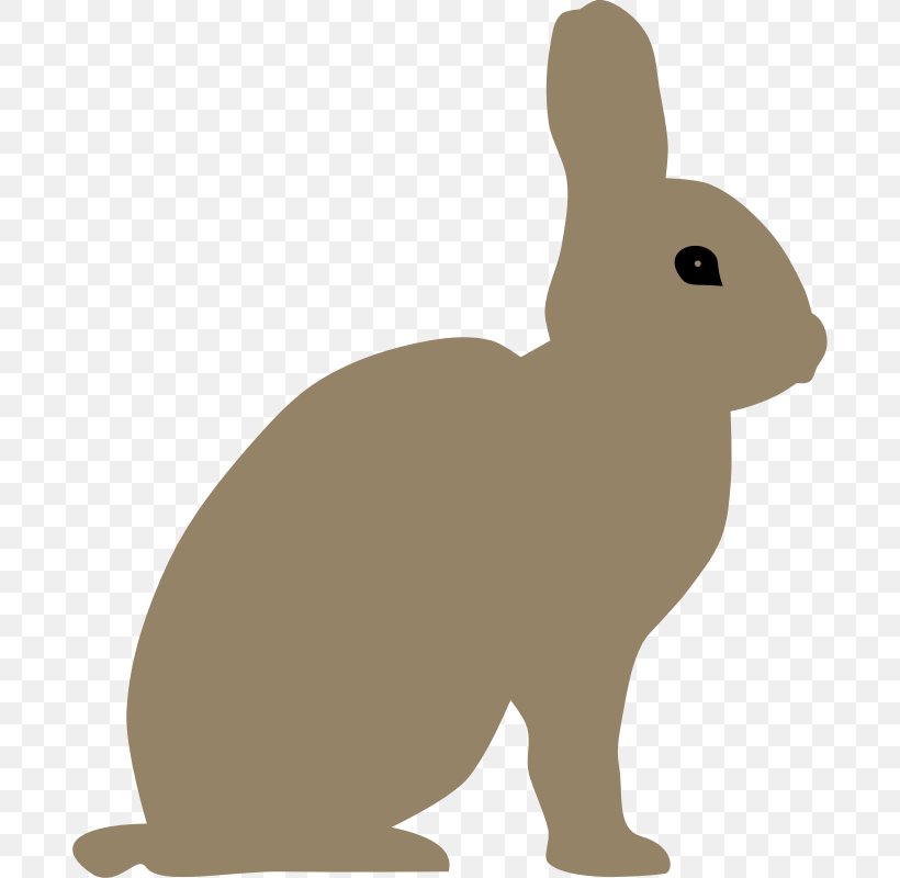 Easter Bunny Snowshoe Hare Rabbit Clip Art, PNG, 800x800px, Easter Bunny, Domestic Rabbit, Fauna, Free Content, Hare Download Free