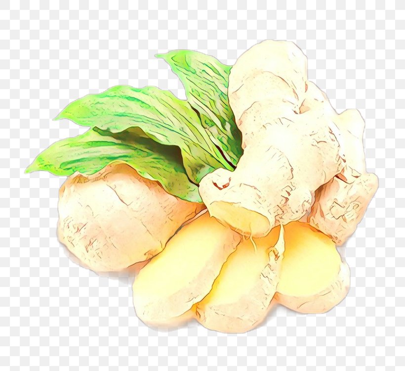 Food Vegetable Ginger Ingredient Plant, PNG, 750x750px, Food, Ginger, Herb, Ingredient, Plant Download Free