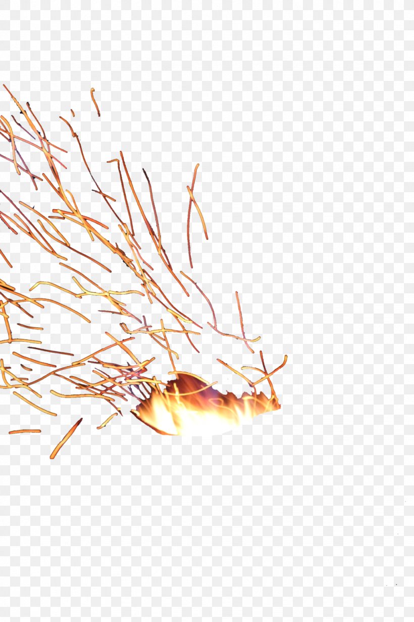 Light Electric Spark Fire, PNG, 1024x1536px, Light, Alpha Compositing, Branch, Electric Spark, Explosion Download Free