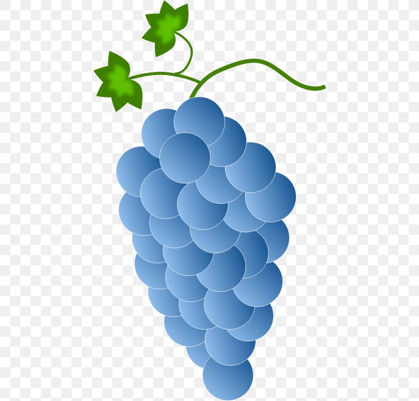 Concord Grape Wine Kyoho Clip Art, PNG, 456x786px, Concord Grape, Common Grape Vine, Flowering Plant, Food, Fruit Download Free