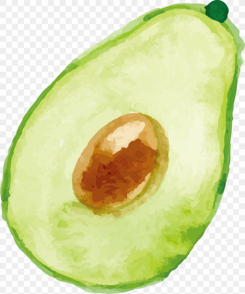 Avocado Watercolor Painting, PNG, 2373x2850px, Avocado, Food, Fruit, Melon, Raster Graphics Download Free