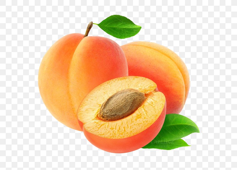 Cider Apricot Peach Flavor Fruit, PNG, 680x588px, Cider, Apple, Apricot, Carrot, Cherry Download Free