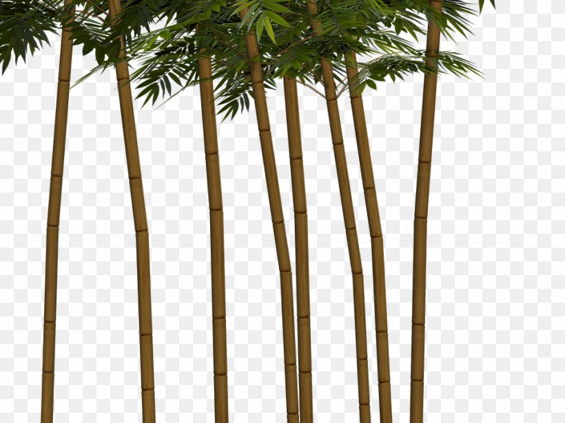 Clip Art Image Tropical Woody Bamboos Palm Trees, PNG, 960x720px, Tropical Woody Bamboos, Arecales, Art, Asian Palmyra Palm, Bamboo Download Free