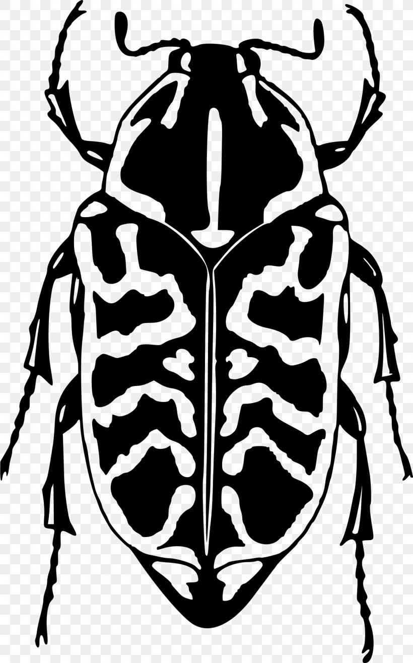 Ladybird Beetle Scarabs Clip Art, PNG, 1495x2400px, Beetle, Art, Arthropod, Black And White, Drawing Download Free