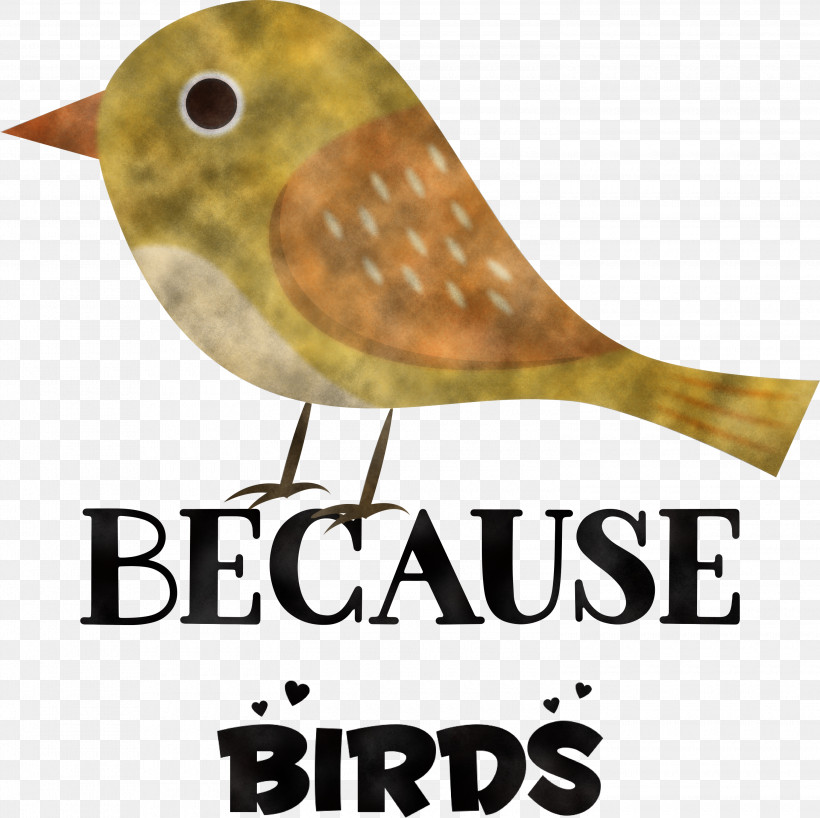 Because Birds Bird Animal, PNG, 3000x2993px, Bird, Animal, Beak, Belief, Biology Download Free