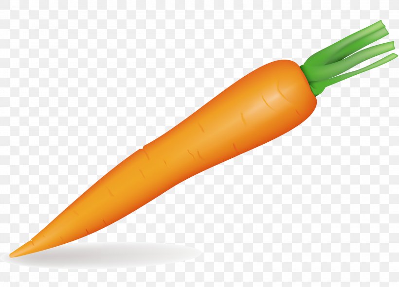 Carrot Vegetable Clip Art, PNG, 3000x2165px, Carrot, Food, Radish, Vegetable Download Free
