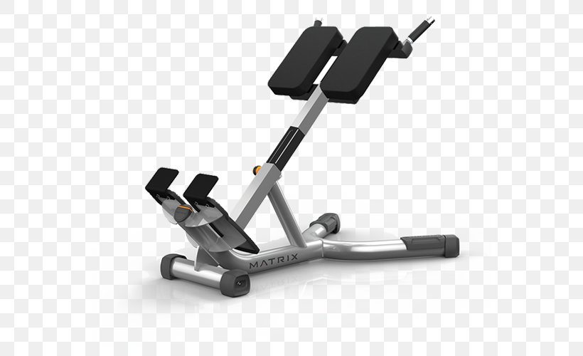 Exercise Machine Hyperextension Fitness Centre Physical Fitness Barbell, PNG, 560x500px, Exercise Machine, Artikel, Barbell, Bench, Dip Bar Download Free