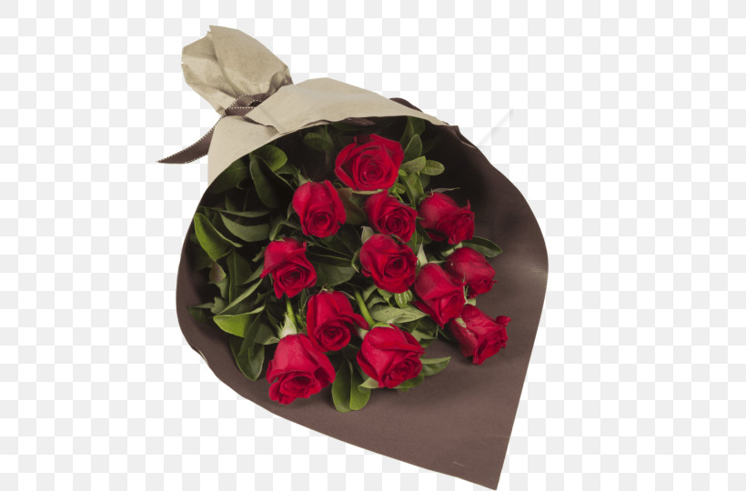 Garden Roses, PNG, 480x540px, Flower, Bouquet, Cut Flowers, Garden Roses, Pink Download Free
