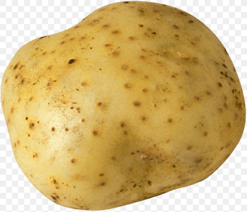 Potato And Tomato Genus Tuber Vegetable, PNG, 922x792px, Russet Burbank Potato, Data Compression, Food, Mpeg4 Part 14, Potato Download Free