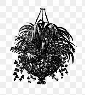Design - Drawing Hanging Basket Monochrome Clip Art PNG