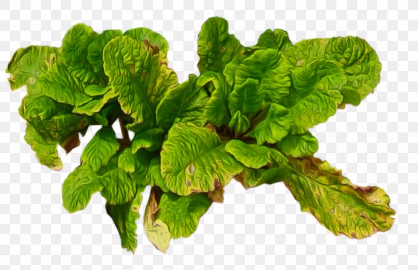 Leaf Vegetable Collard Greens, PNG, 1024x662px, Leaf Vegetable, Chard, Collard Greens, Herb, Komatsuna Download Free