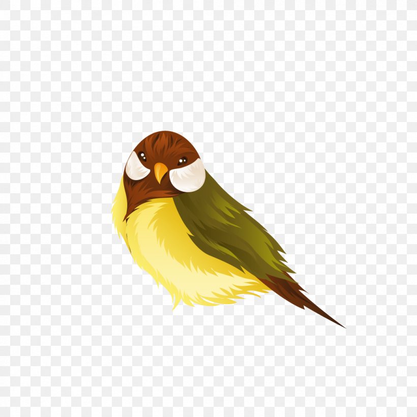 Lovebird Parrot Domestic Canary Clip Art, PNG, 1042x1042px, Bird, Beak, Bird Flight, Domestic Canary, Endotherm Download Free
