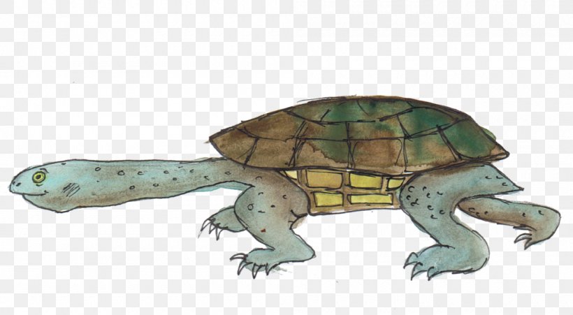 Box Turtle Reptile Tortoise Sea Turtle, PNG, 1000x551px, Turtle, Alphabet, Animal, Animal Figure, Box Turtle Download Free