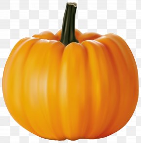 Pumpkin Cucurbita Pepo Clip Art, PNG, 555x554px, Pumpkin, Apple, Bell ...