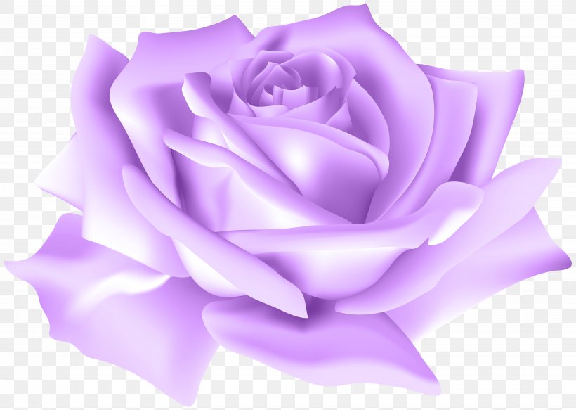 Garden Roses Flower Centifolia Roses Clip Art, PNG, 8000x5688px, Centifolia Roses, Blue, Blue Rose, Cut Flowers, Floral Design Download Free