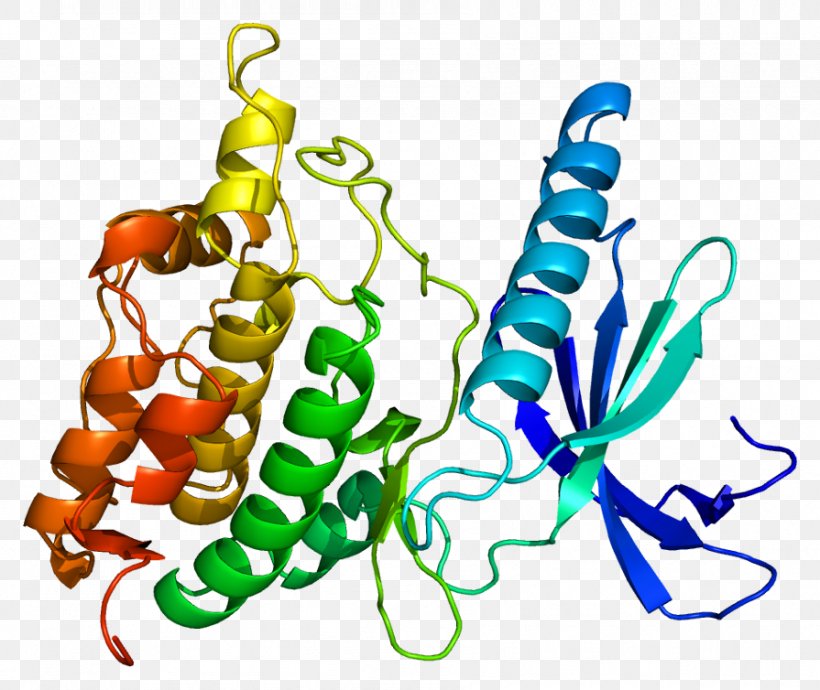 PHKG1 Wikipedia Wikimedia Project Phosphorylase Kinase, PNG, 895x754px, Wikipedia, Art, Artwork, Encyclopedia, Food Download Free