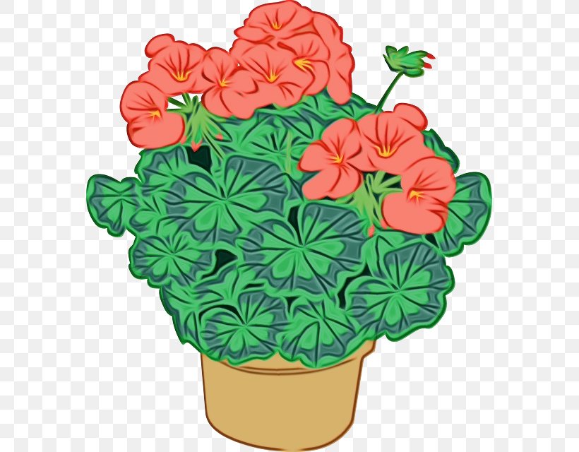Pot Leaf Cartoon, PNG, 575x640px, Clip Art Transportation, Begonia, Cranesbill, Flower, Flowering Pot Plants 2 Download Free