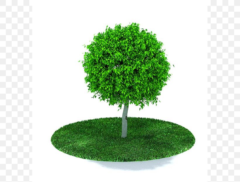 Tree Wavefront .obj File Clip Art, PNG, 599x622px, 3d Computer Graphics, Tree, Arbor Day, Autocad Dxf, Computer Animation Download Free
