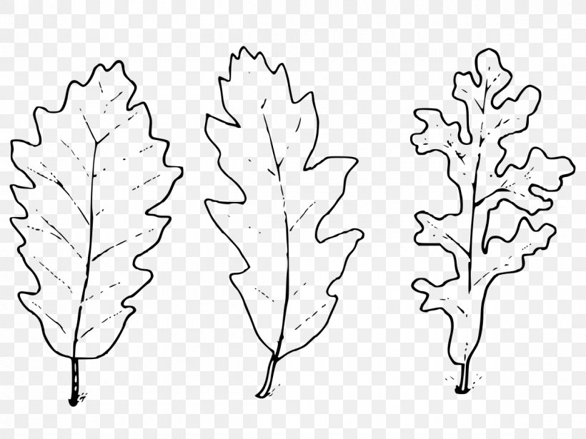 Twig Plant Stem Leaf Symmetry Font, PNG, 1200x900px, Twig, Art, Blackandwhite, Botany, Branch Download Free