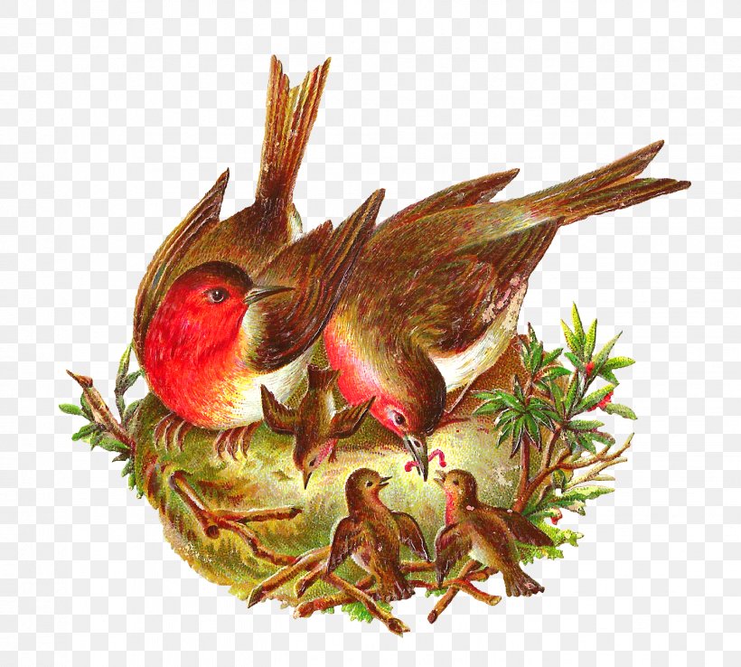 Bird Nest European Robin Clip Art, PNG, 1427x1285px, Bird, American Robin, Beak, Bird Nest, European Robin Download Free