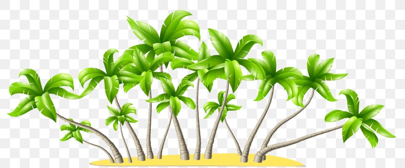 Clip Art Palm Trees Openclipart, PNG, 800x340px, Palm Trees, California Palm, Document, Fan Palms, Flower Download Free