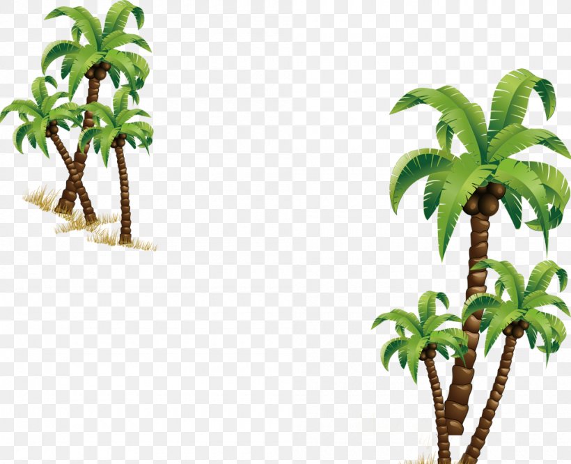 Coconut Tree Computer File, PNG, 1000x813px, Coconut, Arecaceae, Flowerpot, Grass, Green Download Free