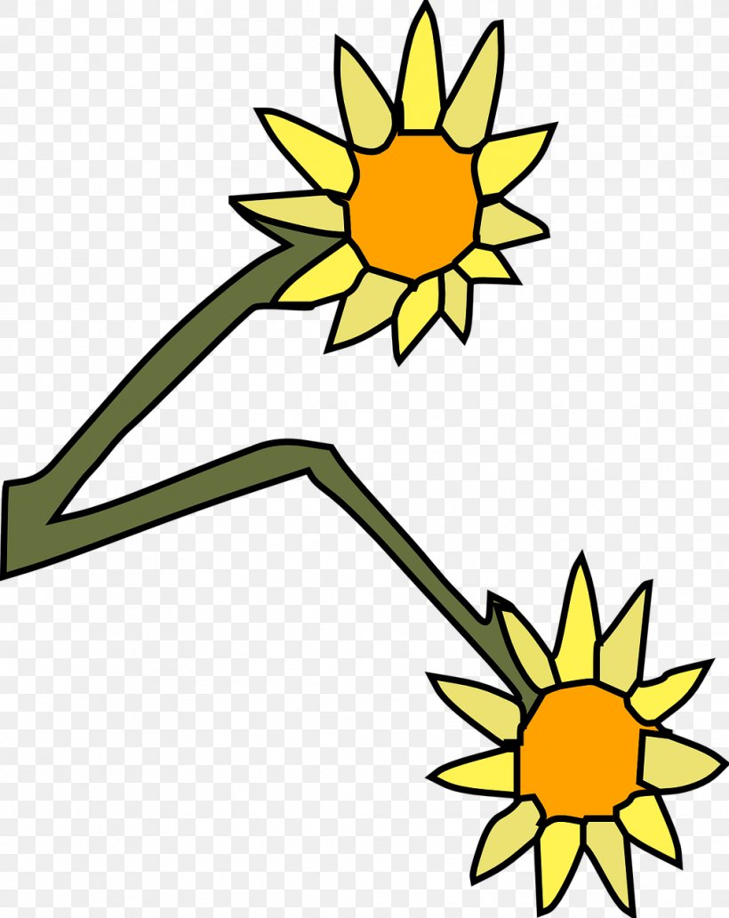 Common Sunflower Yellow Cut Flowers Clip Art, PNG, 1017x1280px, Common Sunflower, Artwork, Black And White, Blume, Color Download Free