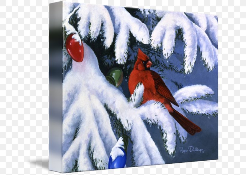 Gallery Wrap Canvas Christmas Ornament Winter, PNG, 650x584px, Gallery Wrap, Art, Beak, Bird, Canvas Download Free