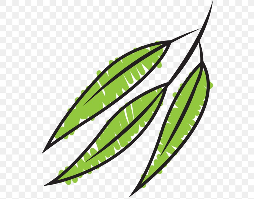 Clip Art Leaf Line Tree, PNG, 570x644px, Leaf, Botany, Flower, Plant, Tree Download Free