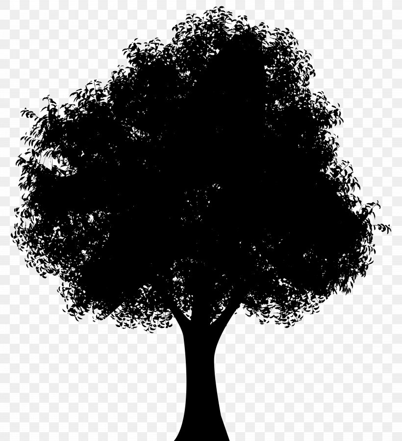 Tree Oak Silhouette Clip Art, PNG, 7301x8000px, Tree, Black And White, Branch, Color, Drawing Download Free
