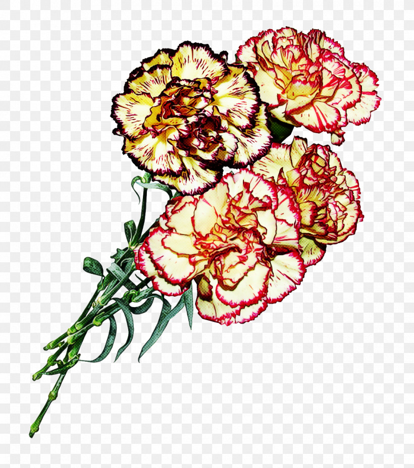 Carnation Cut Flowers Tagetes Plant Flower, PNG, 1130x1280px, Carnation, Cut Flowers, Dianthus, Flower, Herbaceous Plant Download Free
