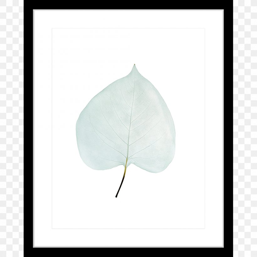 Leaf Petal, PNG, 1000x1000px, Leaf, Petal Download Free