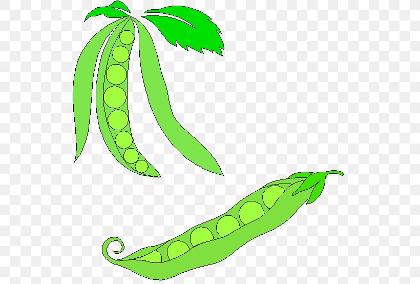 Snap Pea Vegetable Clip Art, PNG, 537x554px, Pea, Artwork, Food, Fruit, Leaf Download Free