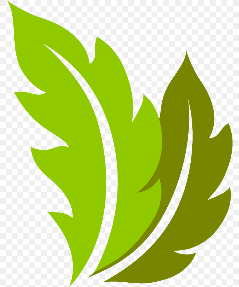 Leaf Plant Stem Flower Green M-tree, PNG, 776x986px, Leaf, Biology, Flower, Green, Line Download Free