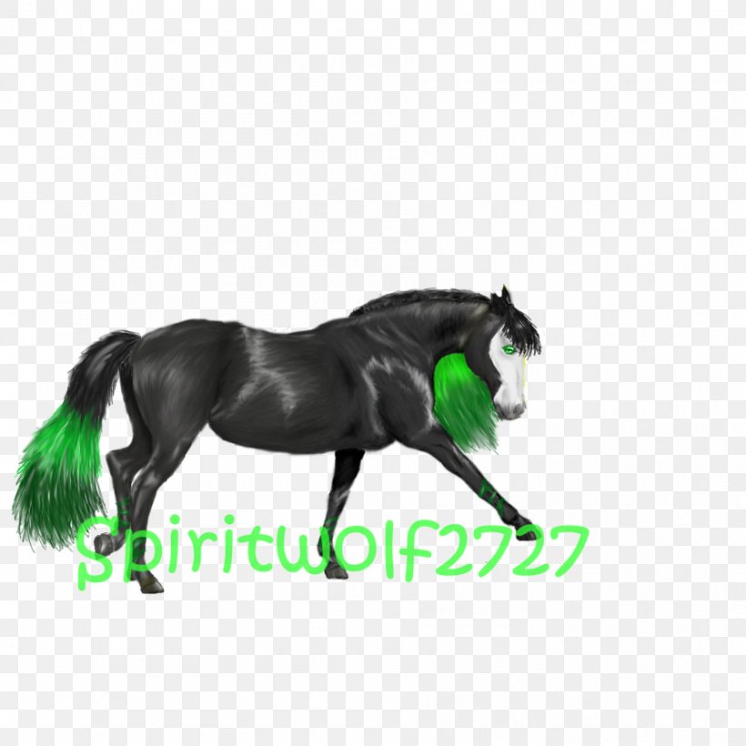 Mustang Stallion Mare Halter Rein, PNG, 894x894px, Mustang, Animal Figure, Bridle, Grass, Halter Download Free