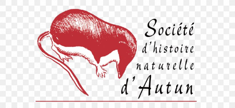 Society National Museum Of Natural History Natural History Museum, PNG, 960x446px, Watercolor, Cartoon, Flower, Frame, Heart Download Free