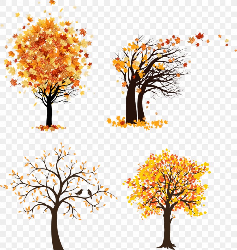 Vector Graphics Tree Clip Art Autumn Maple, PNG, 1093x1155px, Tree, Autumn, Autumn Leaf Color, Branch, Drawing Download Free