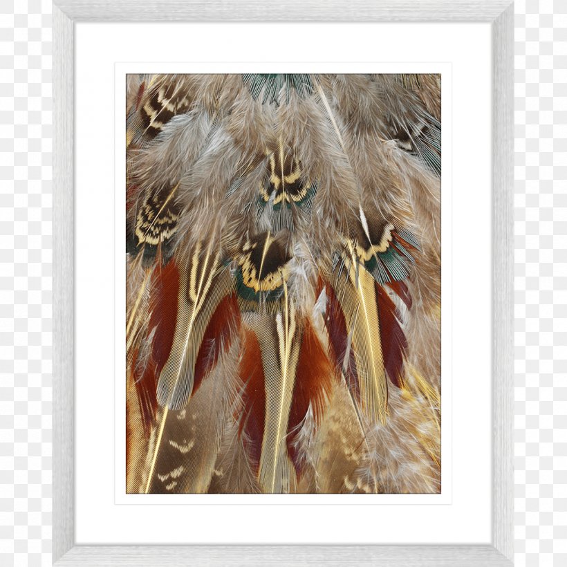 Feather Modern Art Fauna Wildlife, PNG, 1000x1000px, Feather, Art, Fauna, Fur, Modern Architecture Download Free