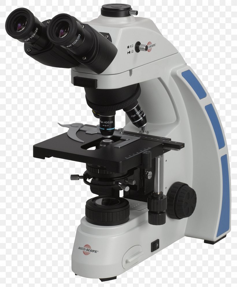 Optical Microscope David Blais Microscope Services Digital Microscope Optics, PNG, 1140x1380px, Optical Microscope, Biology, Confocal Microscopy, David Blais Microscope Services, Digital Microscope Download Free