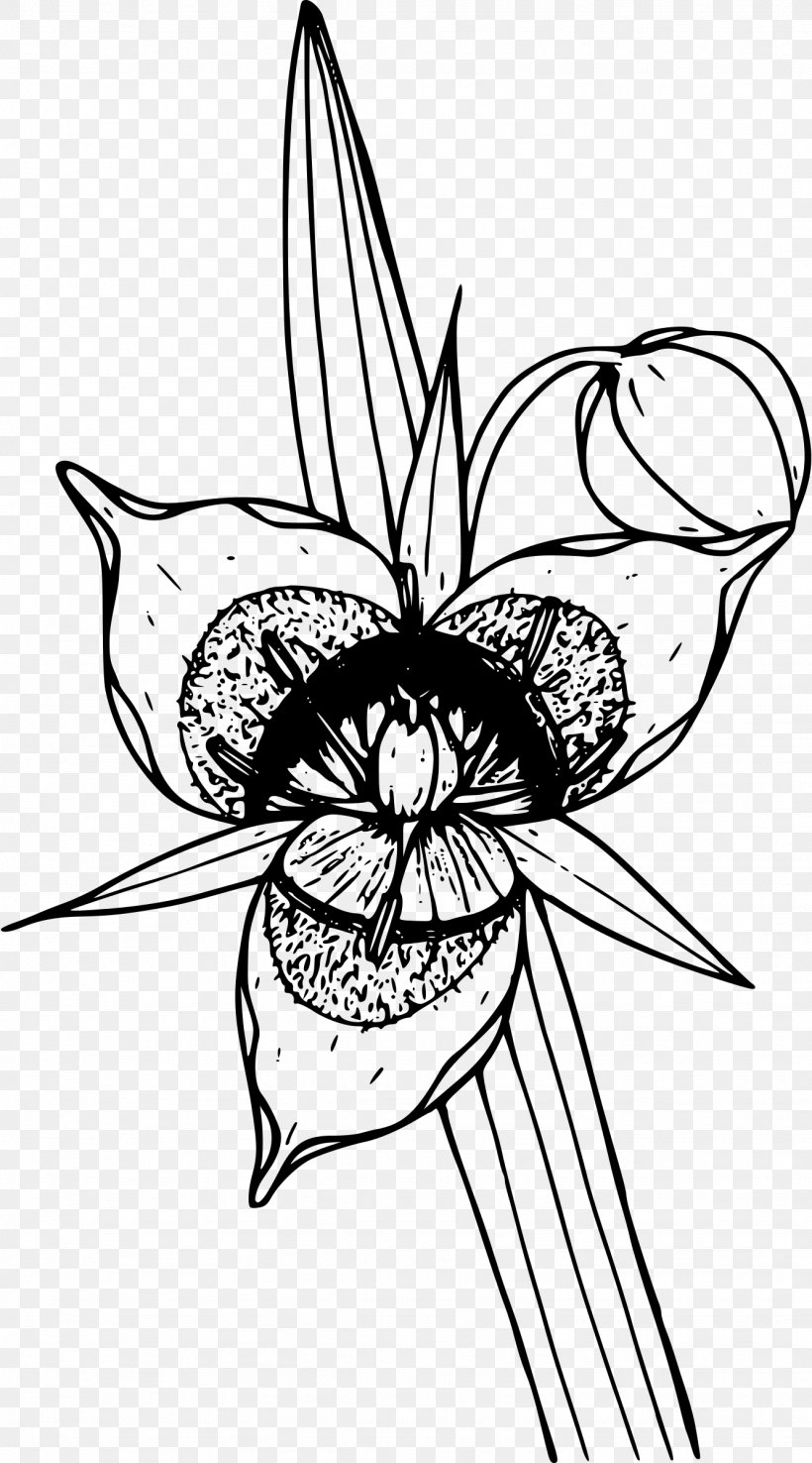 Visual Arts Clip Art, PNG, 1333x2400px, Art, Artwork, Black And White, Butterfly, Cartoon Download Free